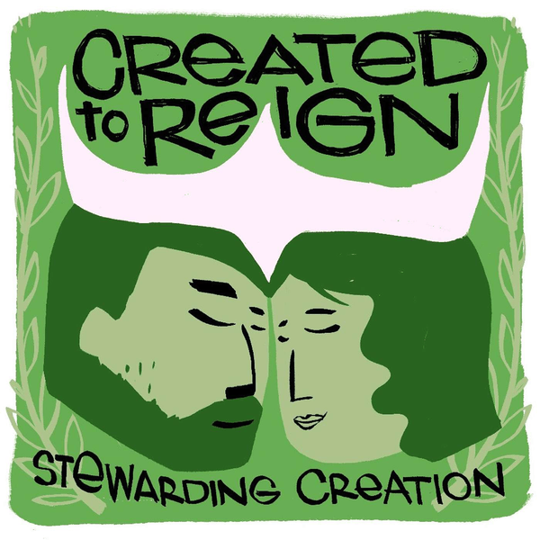Created to Reign