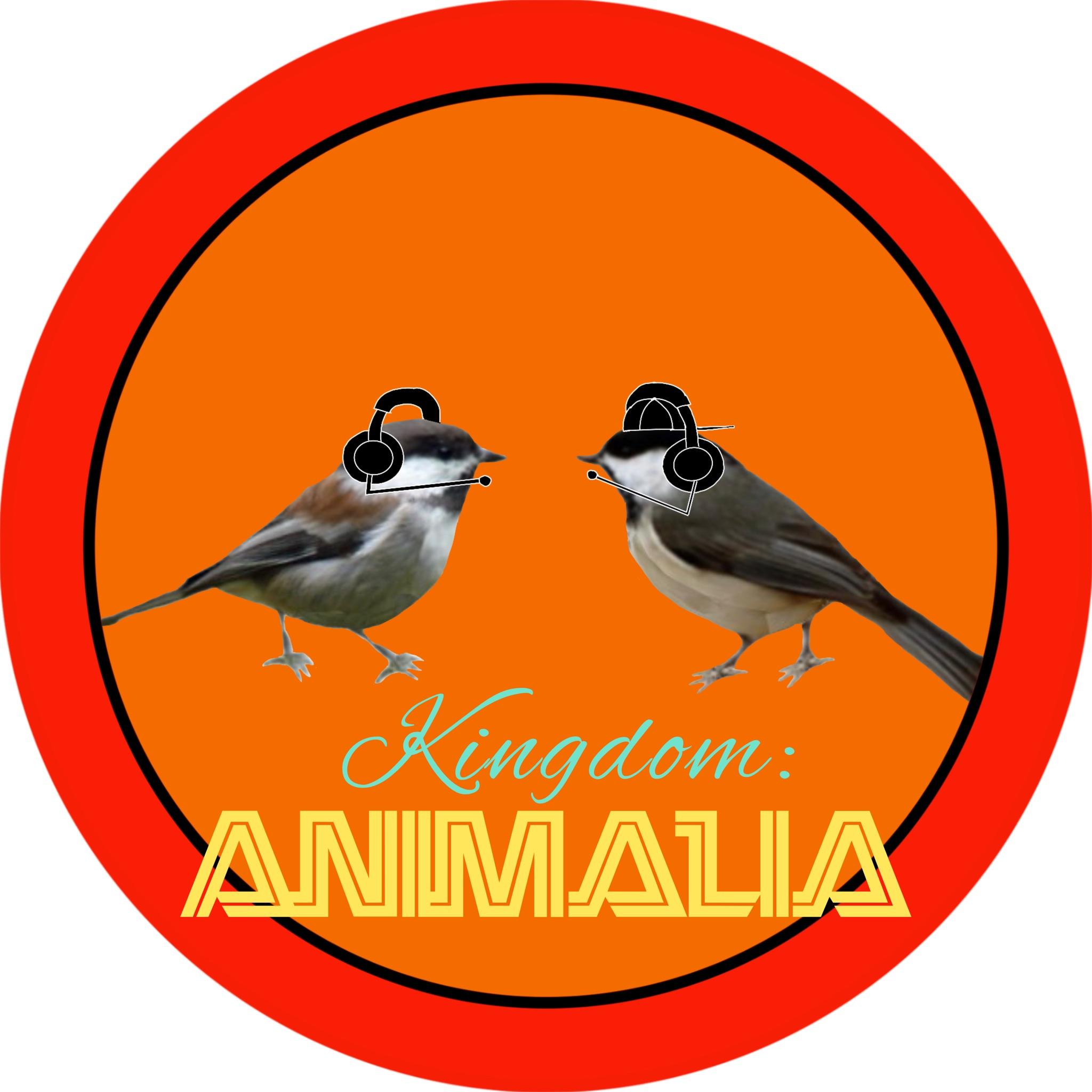 Kingdom: Animalia Podcasts