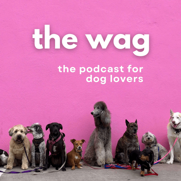 The Wag