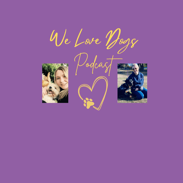 We Love Dogs